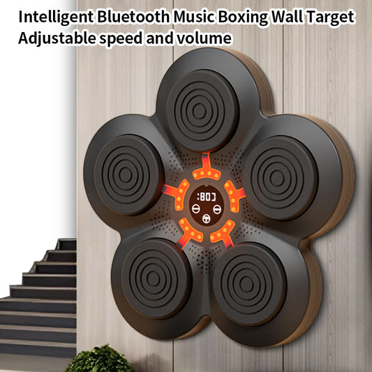 Boxing Training Set with gloves – Target Punch Pad Equipment for children & adult, Fitness & Coordination